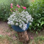 Sandy Munger Ewing - @ewing.sandy - Instagram