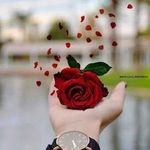 Sandy Murad - @sandy.murad.39 - Instagram