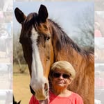 Sandy Caldwell Murrell - @sandycaldwellmurrell - Instagram