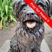 Sandy Murrell Hotz - Facebook