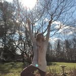 Sandra Musser - @sandra_nova_yoga - Instagram