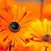 Sandy Nadeau - Facebook