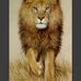 Sancho Notcho Nance - Facebook