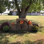 Sandy Nance - @nance7721 - Instagram