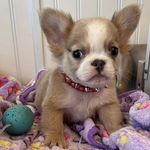 Sandy Nance - @sandy.nance - Instagram