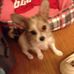 Sandy Napier - Facebook