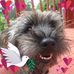 Sandy Naylor - Facebook