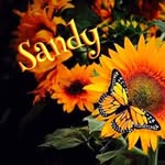 Sandynaylor - @sandynaylor7289 - Instagram