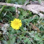 Sandra Needham - @sandra.needham.9619 - Instagram