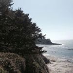 Sandy Neely Hathaway - @ardguard - Instagram