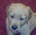 Sandy Neer - Facebook
