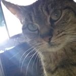 Sandy Cuda Neff - @cudaneff - Instagram