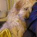 Sandy Neumann - Facebook