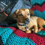 Sandy Neumann - @sandy.neumann.921 - Instagram