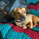 Sandy Neumann - @sandy.neumann.921 - Instagram