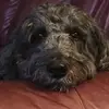 Sandy Neumann Kenney - @sandyneumannkenney - TikTok