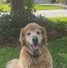 Sandy Neville - Facebook