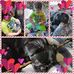 Sandy Newton - Facebook