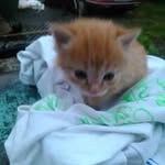 Sandy Newton - @sandy.newton.5203 - Instagram