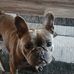 Sandra Nickerson - Facebook