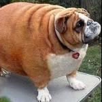 Sandy Nieves - @sandythesausage2017 - Instagram