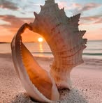 Sandy Nieves - Facebook