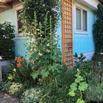 Sandy Noble - @sandy.noble.902 - Instagram