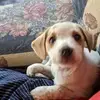 Sandy Noble - @sandy.noble - TikTok