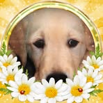 Sandy Norris - Facebook