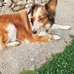 Sandy Menteer Northrop - @sandy.m.northrop - Instagram