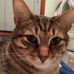 Sandy Northrop - Facebook