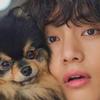 SandyNovak - @therepayn4b - TikTok