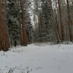 Sandra Ogden - @sandraogden639 - Instagram