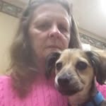 Sandy Ogden - @sandy.ogden - Instagram