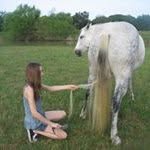 Sandy Ogle - @saundaro - Instagram