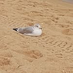 Sandy Ogle Hanft - @sandrahanft - Instagram