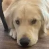 sandynogle7 - @sandynogle7 - TikTok
