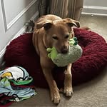 Sandy O'Keefe - @sandyok10 - Instagram