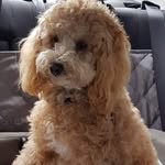 Sandy O'Keefe - @sokeefe0 - Instagram