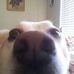 Sandy O'Keefe - Facebook