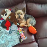 Sandy O'Keefe - @sandyokeefe225 - Instagram