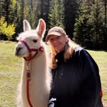 Sandy OKeefe - @sandyeokeefe - Instagram