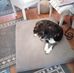 Sandy Oros Dieter - Facebook