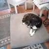 sandyorosdieter - @sandyorosdieter - TikTok