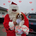 Sandy Ott - @ottnott1958 - Instagram
