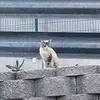 Sandy Ott - @sandy.ott - TikTok