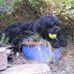 Sandra V Overton - Facebook