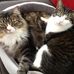Sandy Owens - Facebook