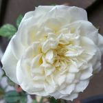 Sandy Owens - @sandyowens5553 - Instagram