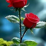 Sandy Pacheco - Facebook